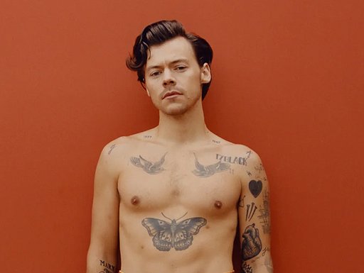 Suposta versão sem censura da Nude de Harry Styles é falsa